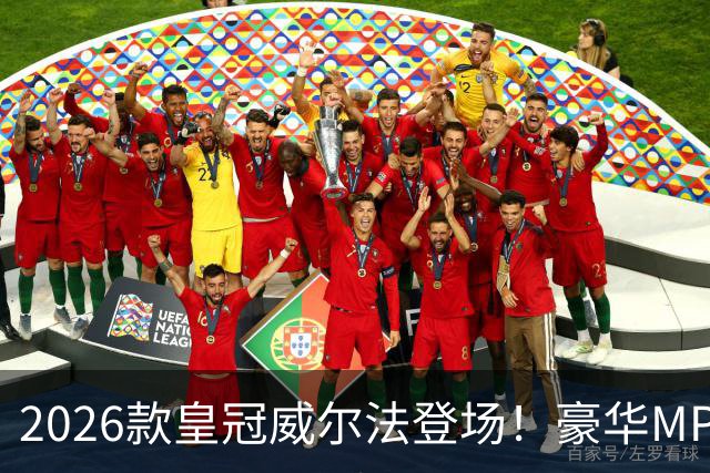 2026款皇冠威尔法登场！豪华MPV小幅改进，兼顾商务与家庭需求